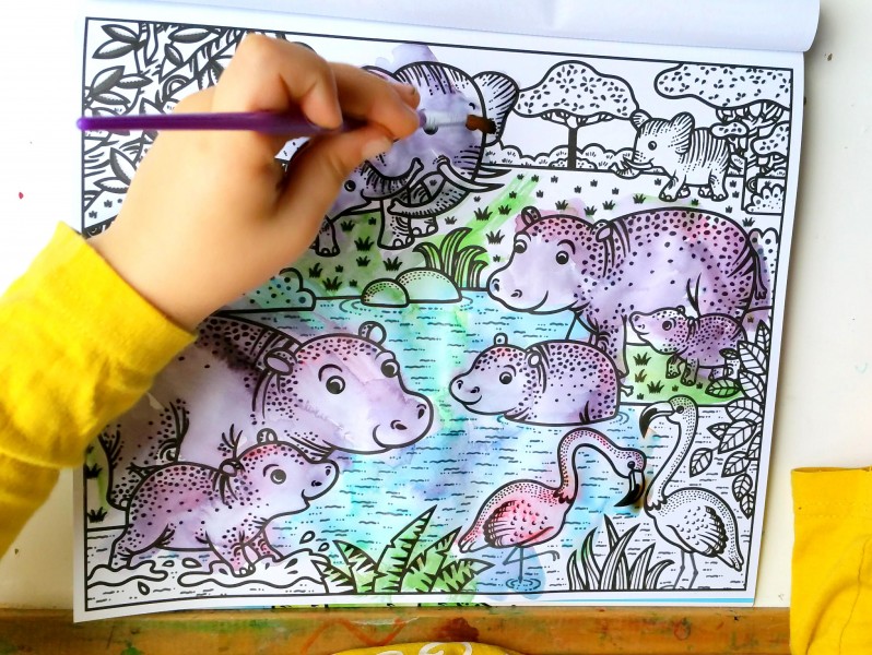 Livre de Coloriage 8 Pièces peinture magique a L'eau à Enfant
