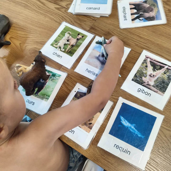 Idée d'activité Montessori dès 1 an : cartes de nomenclature animaux –  Manipani